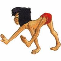 Source http://www.tovekjellmark.com/otherness/2011/09/animal_human/